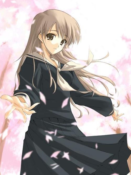 热播